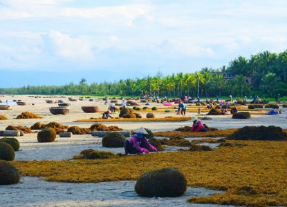 Khám phá xã đảo Tam Hải, ‘hòn ngọc’ yên bình ở Quảng Nam