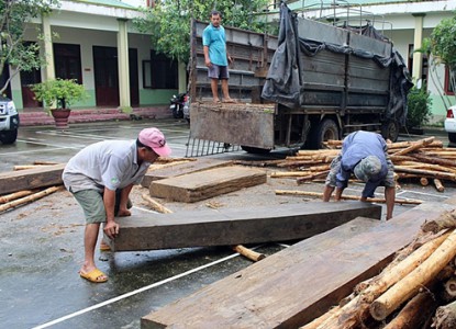 Phát hiện chiêu độc trong vận chuyển gỗ lậu của lâm tặc