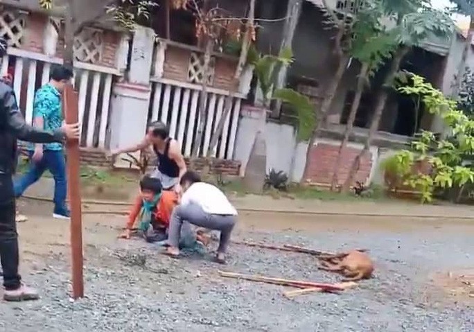 Đang đi đường, người phụ nữ ở tỉnh Quảng Nam bị con chó Pitbull hung tợn lao ra cắn xé gây thương tích nặng.
