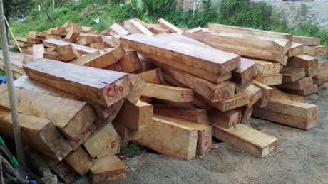Quảng Nam: Hàng trăm phách gỗ pơ mu được phát hiện gần trạm Biên phòng, Hải quan