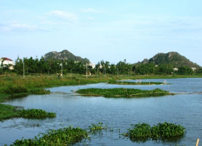 Quảng Nam: 850 tỉ đồng cho dự án nạo vét sông Cổ Cò