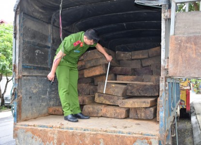 Quảng Nam: Phát hiện 2 xe ô tô chở 46 phách gỗ lậu