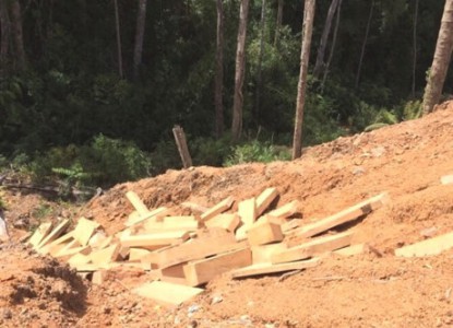 Quảng Nam: Phát hiện thêm một bãi chứa gần 200 phách gỗ pơ mu