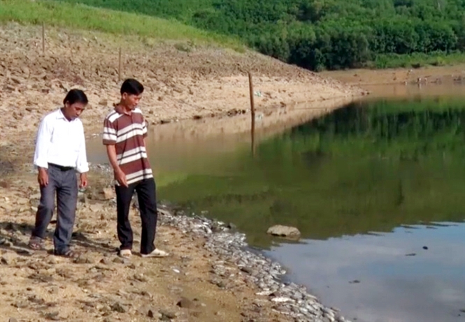 Quảng Nam: Gần 10 tấn cá chết chưa rõ nguyên