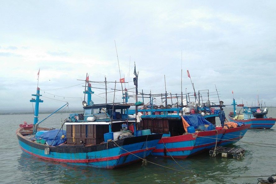 Quảng Nam kêu gọi gần 400 tàu thuyền tìm nơi trú tránh an toàn trong bão số 10