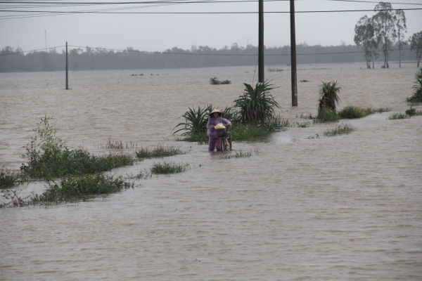Quảng Nam: Công điện triển khai ứng phó áp thấp nhiệt đới và mưa lũ