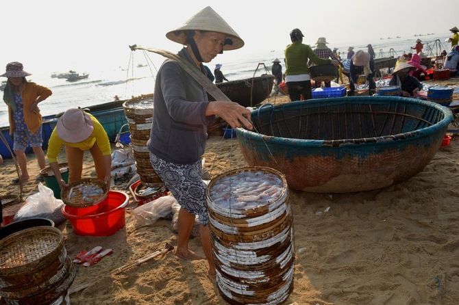 Chợ biển Tam Tiến Quảng Nam - thiên đường hải sản tươi sống
